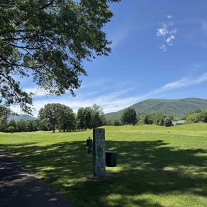 Photo #11 of 99 BLUE CHICKORY CT, NELLYSFORD, VA 1.1 acres