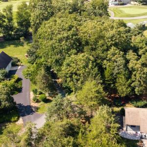 Photo #17 of 99 BLUE CHICKORY CT, NELLYSFORD, VA 1.1 acres