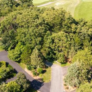 Photo #16 of 99 BLUE CHICKORY CT, NELLYSFORD, VA 1.1 acres