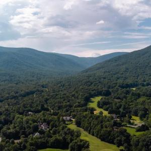 Photo #16 of 99 BLUE CHICKORY CT, NELLYSFORD, VA 1.1 acres