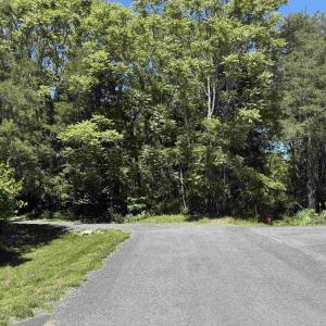 Photo #3 of 99 BLUE CHICKORY CT, NELLYSFORD, VA 1.1 acres