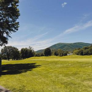 Photo #1 of 99 BLUE CHICKORY CT, NELLYSFORD, VA 1.1 acres