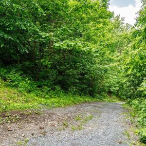 Photo #8 of HELMS RD, STANLEY, VA 1.2 acres