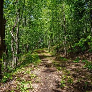 Photo #7 of HELMS RD, STANLEY, VA 1.2 acres