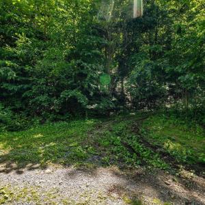 Photo #9 of HELMS RD, STANLEY, VA 1.2 acres