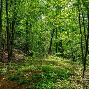 Photo #3 of HELMS RD, STANLEY, VA 1.2 acres