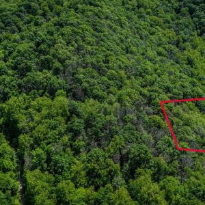 Photo #14 of HELMS RD, STANLEY, VA 1.2 acres