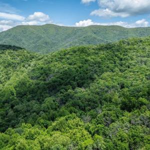 Photo #13 of HELMS RD, STANLEY, VA 1.2 acres