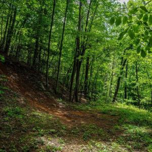 Photo #5 of HELMS RD, STANLEY, VA 1.2 acres