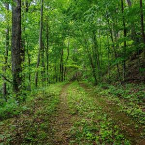 Photo #6 of HELMS RD, STANLEY, VA 1.2 acres