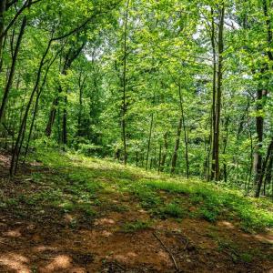 Photo #4 of HELMS RD, STANLEY, VA 1.2 acres