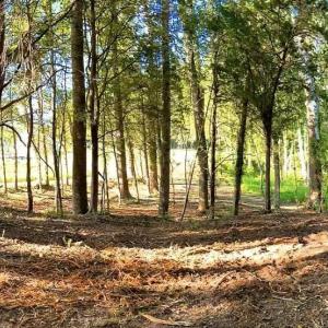Photo #8 of TBD PECAN LN, CARDINAL, VA 10.2 acres