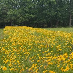 Photo #2 of TBD PECAN LN, CARDINAL, VA 10.2 acres