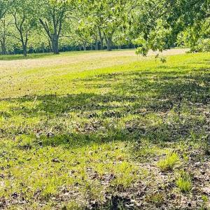 Photo #14 of TBD PECAN LN, CARDINAL, VA 10.2 acres