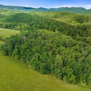 Photo #8 of TBD lot 1 MILL LN, ELKTON, VA 3.9 acres
