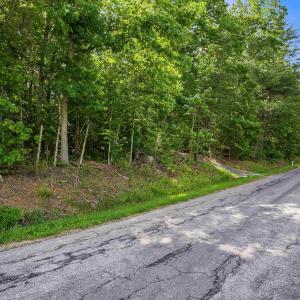 Photo #13 of TBD lot 1 MILL LN, ELKTON, VA 3.9 acres