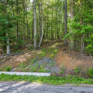 Photo #11 of TBD lot 1 MILL LN, ELKTON, VA 3.9 acres