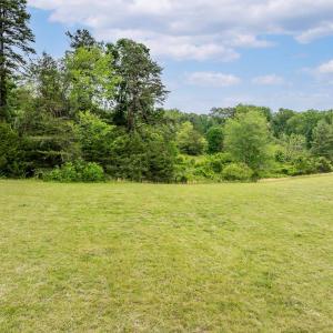 Photo #6 of 9 BOONESVILLE RD, BOONESVILLE, VA 9.1 acres