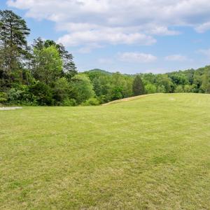 This property is ideal for animals....open and mostly level. One of the three new wells could serve the barn.