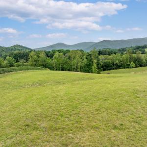 Photo #10 of 9 BOONESVILLE RD, BOONESVILLE, VA 9.1 acres