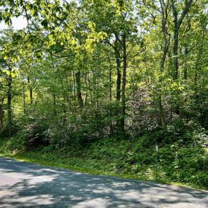 Photo #6 of 62 SPLIT ROCK TRL, WINTERGREEN RESORT, VA 0.4 acres