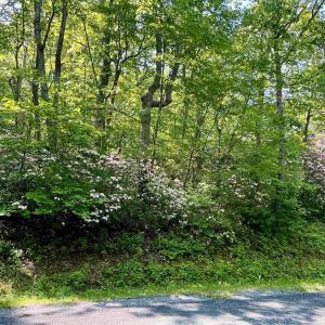 Photo #7 of 62 SPLIT ROCK TRL, WINTERGREEN RESORT, VA 0.4 acres