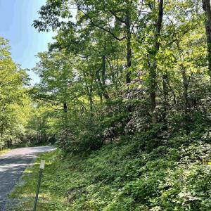 Photo #5 of 62 SPLIT ROCK TRL, WINTERGREEN RESORT, VA 0.4 acres