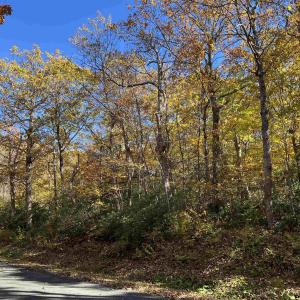 Photo #1 of 62 SPLIT ROCK TRL, WINTERGREEN RESORT, VA 0.4 acres