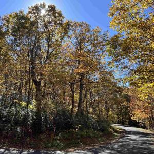 Photo #2 of 62 SPLIT ROCK TRL, WINTERGREEN RESORT, VA 0.4 acres