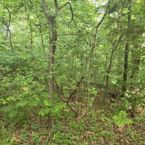 Photo #6 of 14314 WILLIS CT, ORANGE, VA 2.2 acres