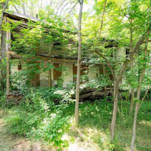 Photo #12 of 2410 MAUZY ATHLONE RD, BROADWAY, VA 18.3 acres