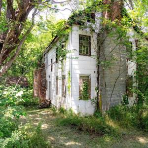 Photo #15 of 2410 MAUZY ATHLONE RD, BROADWAY, VA 18.3 acres