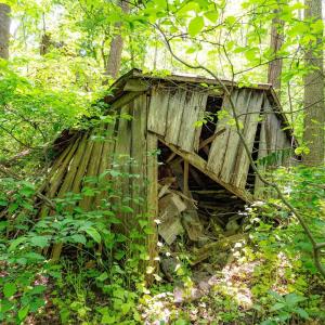 Photo #22 of 2410 MAUZY ATHLONE RD, BROADWAY, VA 18.3 acres