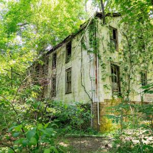 Photo #7 of 2410 MAUZY ATHLONE RD, BROADWAY, VA 18.3 acres