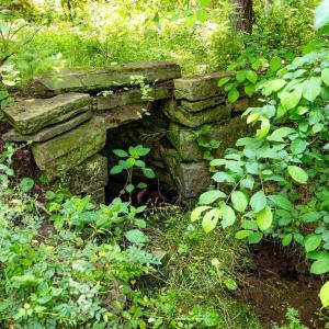 Photo #20 of 2410 MAUZY ATHLONE RD, BROADWAY, VA 18.3 acres