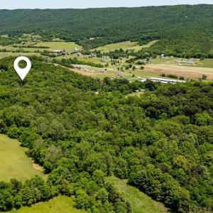 Photo #27 of 2410 MAUZY ATHLONE RD, BROADWAY, VA 18.3 acres