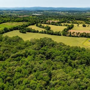Photo #2 of 2410 MAUZY ATHLONE RD, BROADWAY, VA 18.3 acres