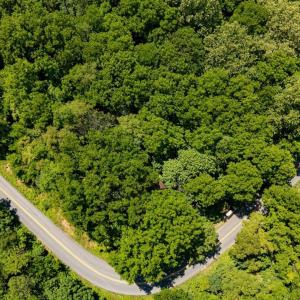 Photo #24 of 2410 MAUZY ATHLONE RD, BROADWAY, VA 18.3 acres