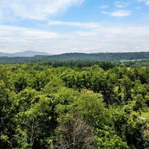 Photo #33 of TBD NEWTOWN RD, GREENWOOD, VA 2.2 acres