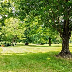 Photo #29 of TBD NEWTOWN RD, GREENWOOD, VA 2.2 acres