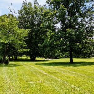 Photo #2 of TBD NEWTOWN RD, GREENWOOD, VA 2.2 acres