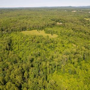 Photo #8 of TBD BURNLEY STATION RD, BARBOURSVILLE, VA 50.4 acres