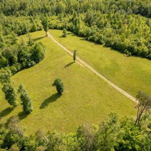 Photo #3 of TBD BURNLEY STATION RD, BARBOURSVILLE, VA 50.4 acres