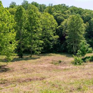 Photo #39 of 1467 HARRIS CREEK RD, CHARLOTTESVILLE, VA 10.7 acres