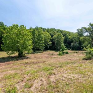 Photo #38 of 1467 HARRIS CREEK RD, CHARLOTTESVILLE, VA 10.7 acres