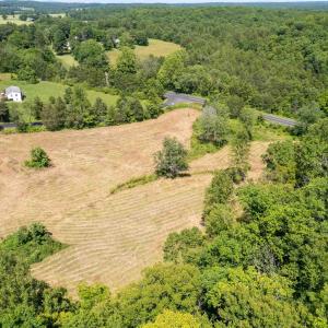 Photo #24 of 1467 HARRIS CREEK RD, CHARLOTTESVILLE, VA 10.7 acres