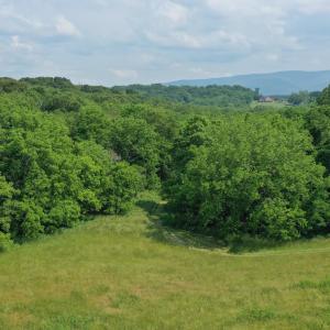 Photo #3 of TBD STUARTS DRAFT HWY, STAUNTON, VA 31.2 acres
