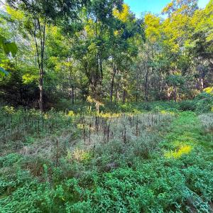 Photo #12 of TBD STUARTS DRAFT HWY, STAUNTON, VA 31.2 acres