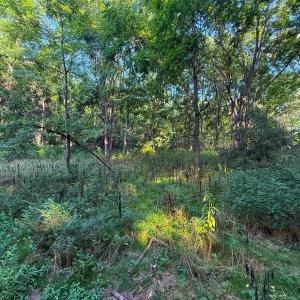 Photo #11 of TBD STUARTS DRAFT HWY, STAUNTON, VA 31.2 acres