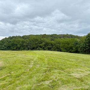 Photo #9 of TBD STUARTS DRAFT HWY, STAUNTON, VA 31.2 acres